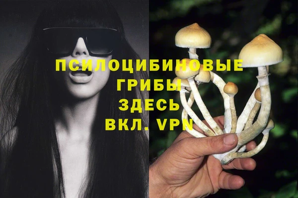 крисы Алзамай