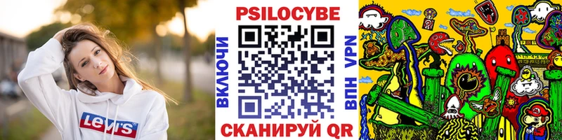 Галлюциногенные грибы прущие грибы kraken ТОР Могоча